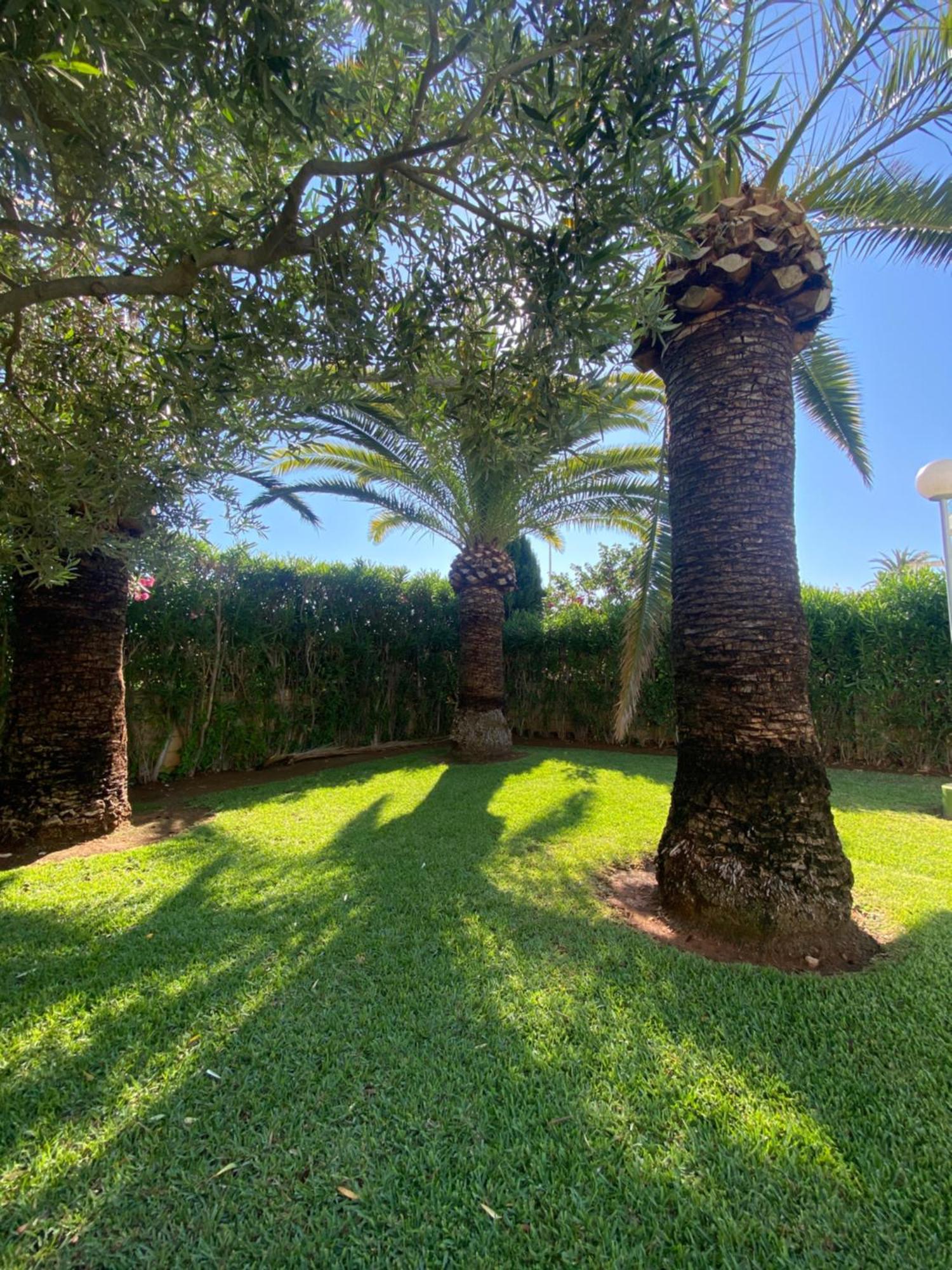 Sea Views Apartments Denia Dış mekan fotoğraf